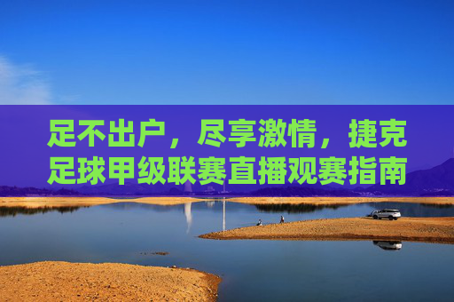 足不出户，尽享激情，捷克足球甲级联赛直播观赛指南，足不出户尽享激情，捷克足球甲级联赛直播观赛指南