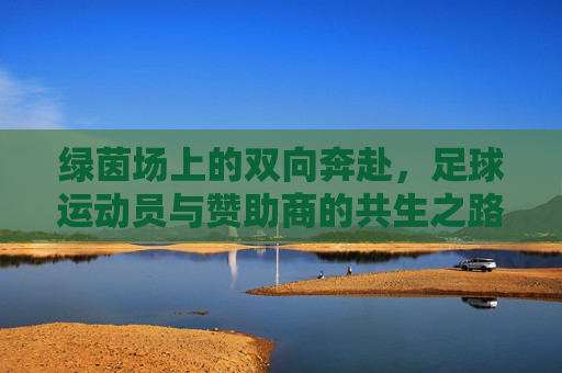 绿茵场上的双向奔赴，足球运动员与赞助商的共生之路，绿茵共生，足球与赞助的双向奔赴
