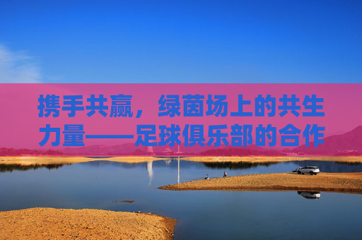 携手共赢，绿茵场上的共生力量——足球俱乐部的合作伙伴战略，携手共赢，绿茵场上的共生力量——足球俱乐部的合作伙伴战略