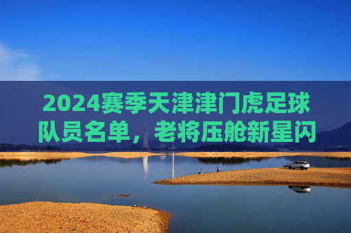 2024赛季天津津门虎足球队员名单，老将压舱新星闪耀，津门足球再启征程，2024赛季天津津门虎，老将压舱新星闪耀，征程再启