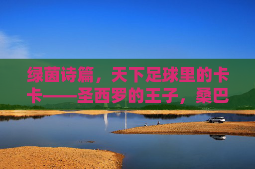 绿茵诗篇,天下足球里的卡卡——圣西罗的王子,桑巴的精灵,圣西罗王子,桑巴精灵,卡卡的绿茵诗篇