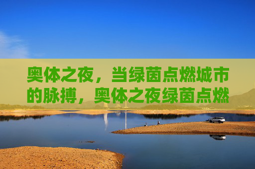 奥体之夜,当绿茵点燃城市的脉搏,奥体之夜绿茵点燃城市脉搏