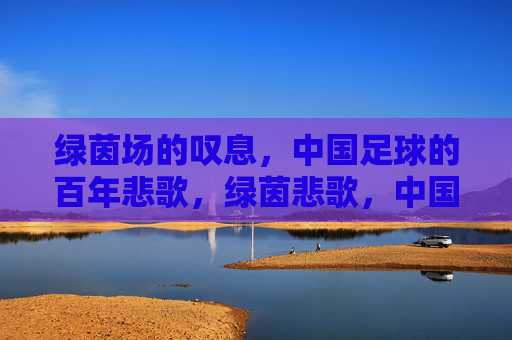 绿茵场的叹息,中国足球的百年悲歌,绿茵悲歌,中国足球百年叹息