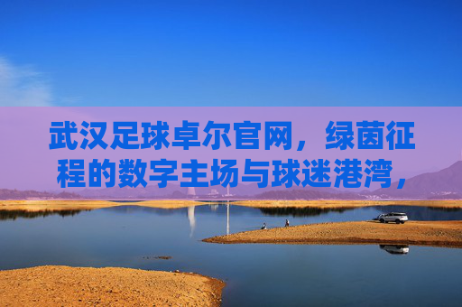 武汉足球卓尔官网，绿茵征程的数字主场与球迷港湾，武汉足球卓尔官网，绿茵征程的数字主场与球迷港湾