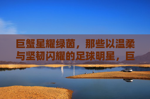 巨蟹星耀绿茵,那些以温柔与坚韧闪耀的足球明星,巨蟹星耀绿茵,温柔坚韧的足球星辰