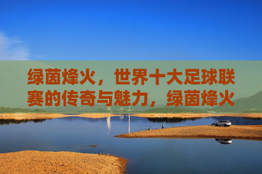 绿茵烽火,世界十大足球联赛的传奇与魅力,绿茵烽火,世界十大足球联赛的传奇与魅力