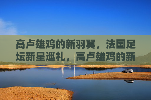 高卢雄鸡的新羽翼，法国足坛新星巡礼，高卢雄鸡的新羽翼