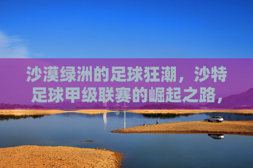 沙漠绿洲的足球狂潮,沙特足球甲级联赛的崛起之路,沙漠绿洲的足球狂潮,沙特足球甲级联赛崛起之路
