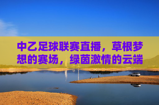 中乙足球联赛直播，草根梦想的赛场，绿茵激情的云端盛宴，中乙直播，草根梦想的云端绿茵盛宴