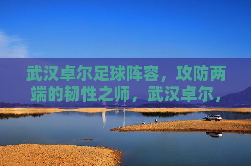 武汉卓尔足球阵容，攻防两端的韧性之师，武汉卓尔，攻防两端的韧性之师