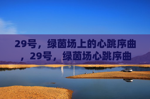 29号,绿茵场上的心跳序曲,29号,绿茵场心跳序曲