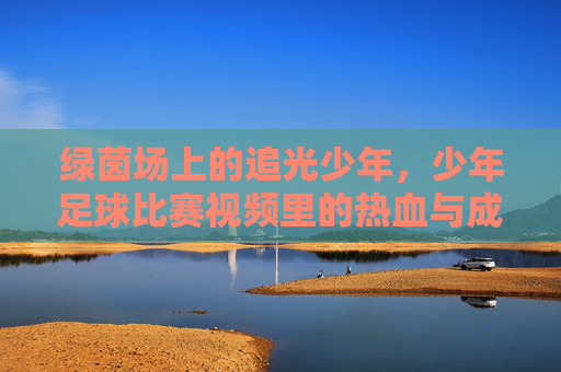 绿茵场上的追光少年,少年足球比赛视频里的热血与成长,绿茵追光,少年足球的热血成长