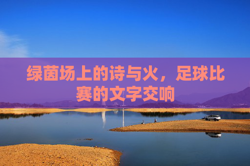 绿茵场上的诗与火,足球比赛的文字交响