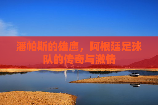 潘帕斯的雄鹰,阿根廷足球队的传奇与激情