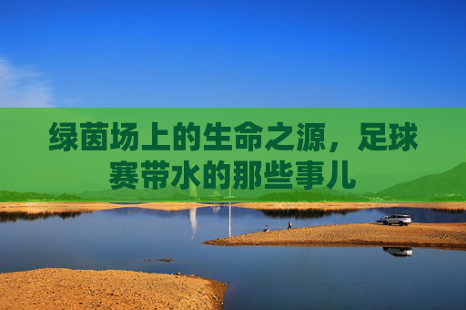 绿茵场上的生命之源,足球赛带水的那些事儿