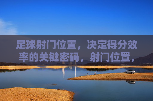 足球射门位置,决定得分效率的关键密码,射门位置,得分效率的关键密码