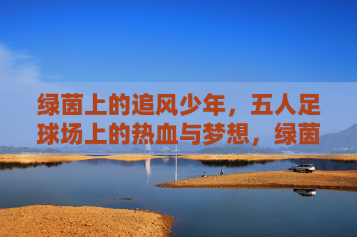 绿茵上的追风少年,五人足球场上的热血与梦想,绿茵追风少年,五人场上的热血与梦想