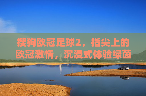 搜狗欧冠足球2,指尖上的欧冠激情,沉浸式体验绿茵战场