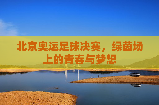 北京奥运足球决赛,绿茵场上的青春与梦想