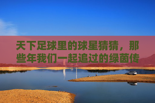 天下足球里的球星猜猜,那些年我们一起追过的绿茵传奇,天下足球球星猜猜,那些年我们一起追过的绿茵传奇