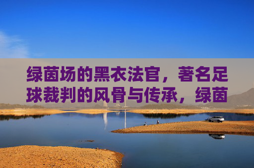 绿茵场的黑衣法官,著名足球裁判的风骨与传承,绿茵黑衣法官,足球裁判的风骨与传承
