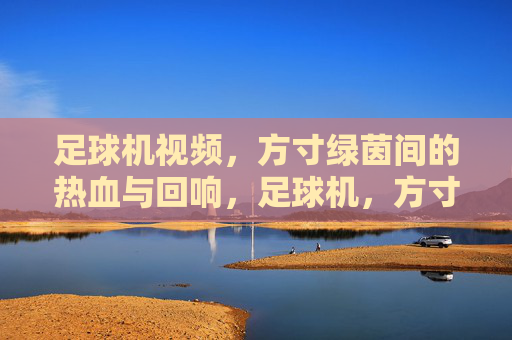 足球机视频，方寸绿茵间的热血与回响，足球机，方寸绿茵的热血回响
