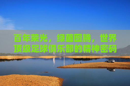 百年荣光，绿茵图腾，世界顶级足球俱乐部的精神密码，百年图腾，世界顶级足球俱乐部的精神密码