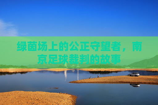 绿茵场上的公正守望者,南京足球裁判的故事