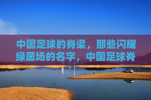 中国足球的脊梁,那些闪耀绿茵场的名字,中国足球脊梁,闪耀绿茵的名字