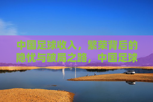 中国足球收入,繁荣背后的隐忧与破局之路,中国足球收入,繁荣背后的隐忧与破局之路