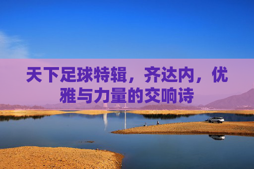 天下足球特辑,齐达内,优雅与力量的交响诗