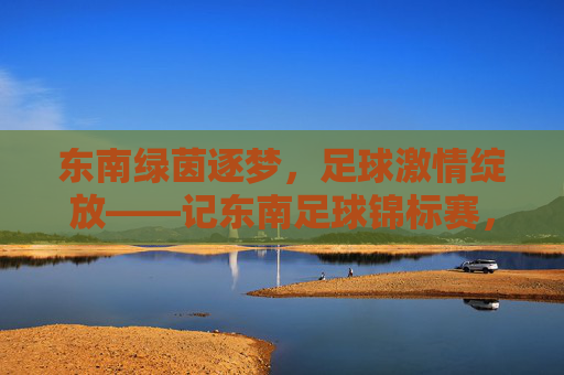 东南绿茵逐梦，足球激情绽放——记东南足球锦标赛，东南绿茵逐梦，足球锦标赛激情绽放