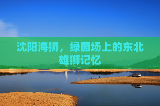 沈阳海狮,绿茵场上的东北雄狮记忆