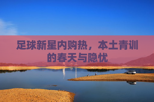 足球新星内购热,本土青训的春天与隐忧