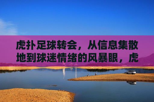 虎扑足球转会,从信息集散地到球迷情绪的风暴眼,虎扑足球转会,从信息集散地到球迷情绪风暴眼