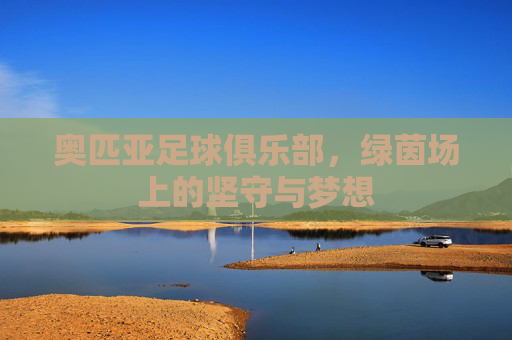 奥匹亚足球俱乐部,绿茵场上的坚守与梦想