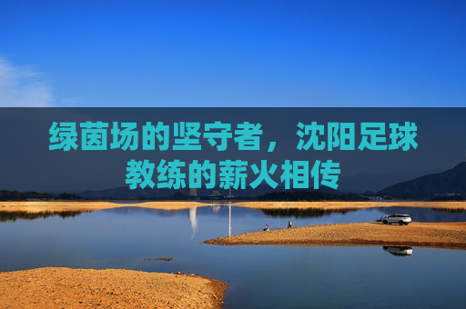 绿茵场的坚守者,沈阳足球教练的薪火相传