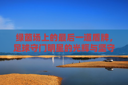 绿茵场上的最后一道盾牌,足球守门明星的光辉与坚守,绿茵盾牌,守门明星的光辉坚守