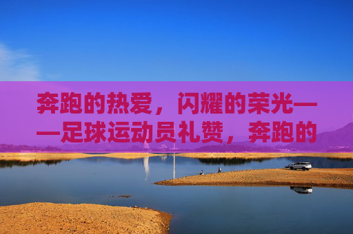 奔跑的热爱，闪耀的荣光——足球运动员礼赞，奔跑的热爱，闪耀的荣光——足球运动员礼赞