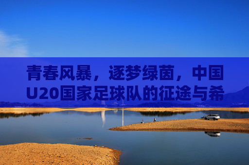 青春风暴，逐梦绿茵，中国U20国家足球队的征途与希望，青春风暴逐梦绿茵，中国U20征途与希望