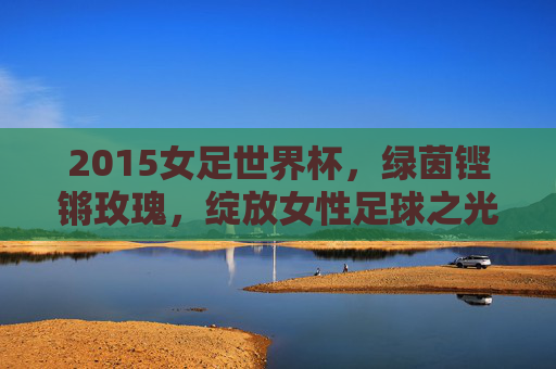 2015女足世界杯,绿茵铿锵玫瑰,绽放女性足球之光,2015女足世界杯,绿茵铿锵玫瑰绽放女性足球之光