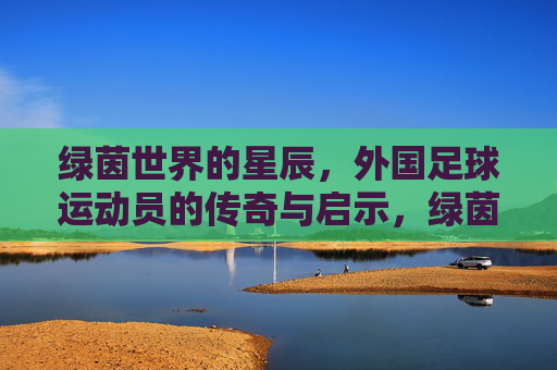 绿茵世界的星辰,外国足球运动员的传奇与启示,绿茵星辰,外国足球传奇启示