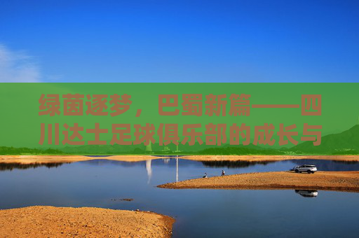 绿茵逐梦,巴蜀新篇——四川达士足球俱乐部的成长与担当,巴蜀绿茵逐梦,达士成长担当