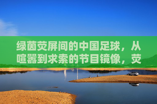 绿茵荧屏间的中国足球,从喧嚣到求索的节目镜像,荧镜像里的中国足球,从喧嚣到求索