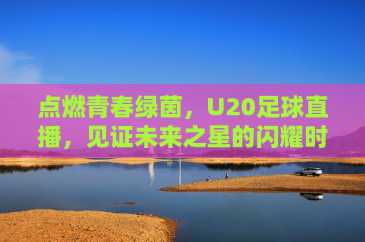 点燃青春绿茵，U20足球直播，见证未来之星的闪耀时刻，青春绿茵U20直播，见证未来之星闪耀时刻