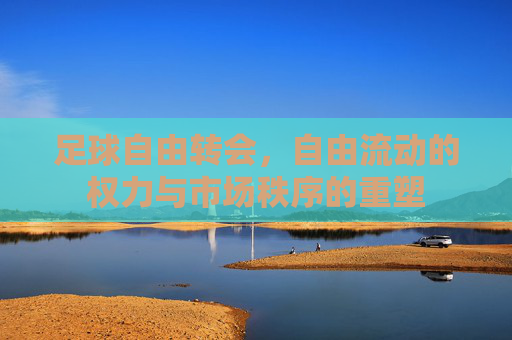 足球自由转会,自由流动的权力与市场秩序的重塑