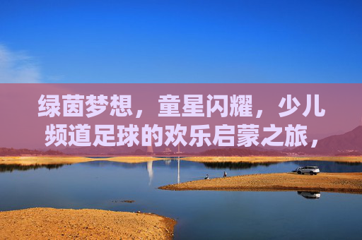 绿茵梦想,童星闪耀,少儿频道足球的欢乐启蒙之旅,绿茵童星闪耀,欢乐足球启蒙
