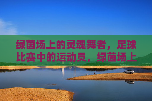 绿茵场上的灵魂舞者,足球比赛中的运动员,绿茵场上的灵魂舞者