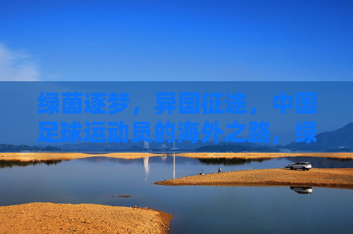 绿茵逐梦,异国征途,中国足球运动员的海外之路,绿茵逐梦,中国足球的海外征途