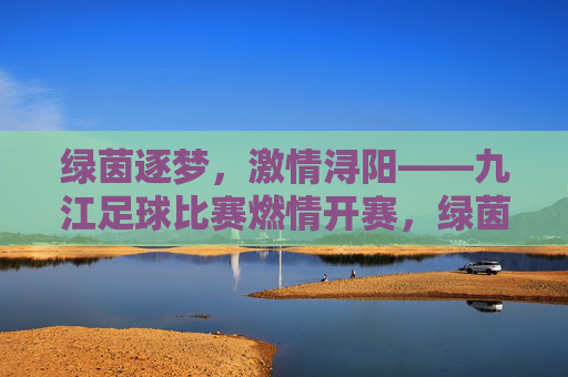 绿茵逐梦，激情浔阳——九江足球比赛燃情开赛，绿茵逐梦，激情浔阳——九江足球比赛燃情开赛